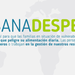 imagen-destacada-04—Iris