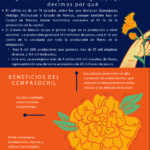 FlordeCempasuchil_2020_LE