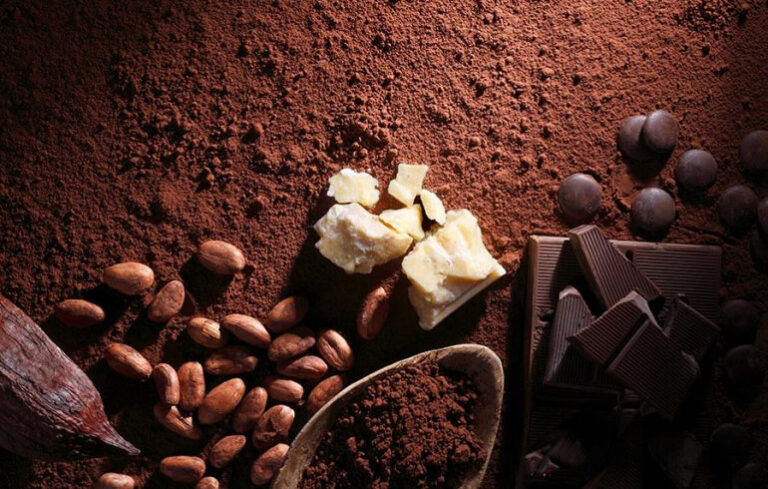 LA DELICIOSA INDUSTRIA DEL CACAO Y EL CHOCOLATE EN MÉXICO