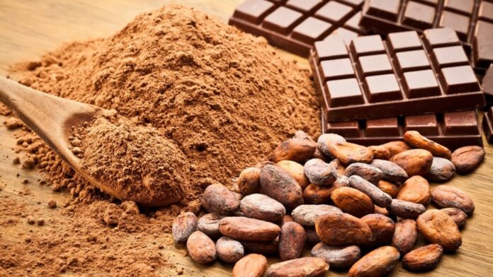 Cacao y chocolate