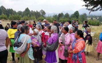 Invertirán 4MDD en zona Mazahua, Estado de México | Harpic, Rotoplas, Casa Córdoba y Teleperformance