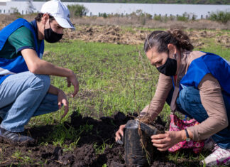 Nestlé planta cientos de árboles en Jalisco con el apoyo de sus colaboradores