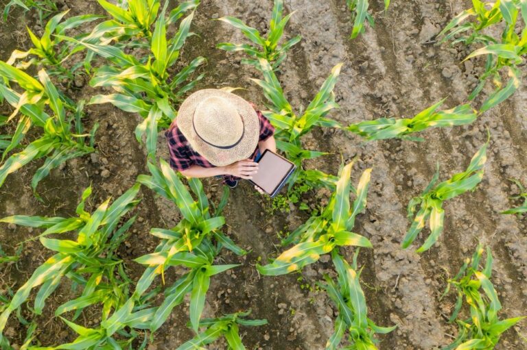 Pepsi, Modelo y Heineken impulsan la agricultura