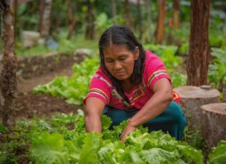 Organizaciones se unen para empoderar a las mujeres rurales