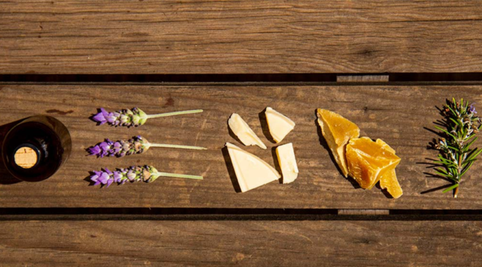 FedEx premia a la economía circular y regeneración de ecosistemas