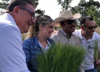 Comienza jornada de reforestación “Un Nuevo Bosque”