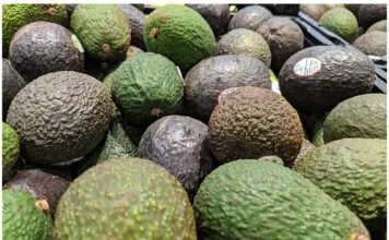 Productores exportadores de aguacate cumplen con un compromiso más de la Agenda Verde