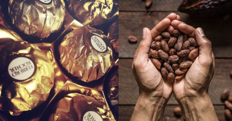 Ferrero y ECOM lanzan programa de apoyo a los agricultores de cacao en Chiapas