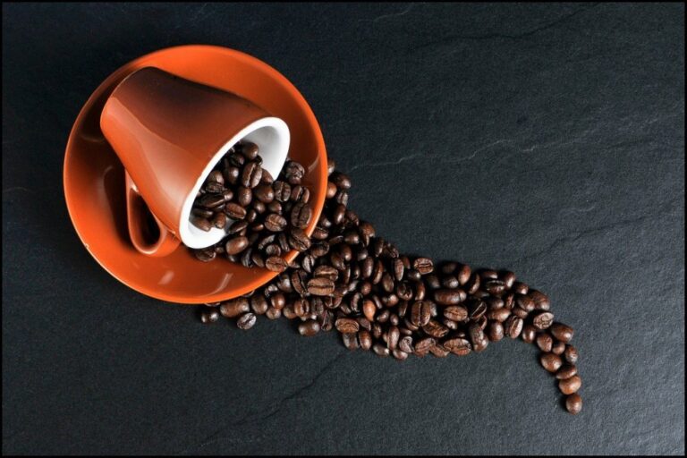 Nueva fábrica de NESCAFÉ en Veracruz generará oportunidades laborales
