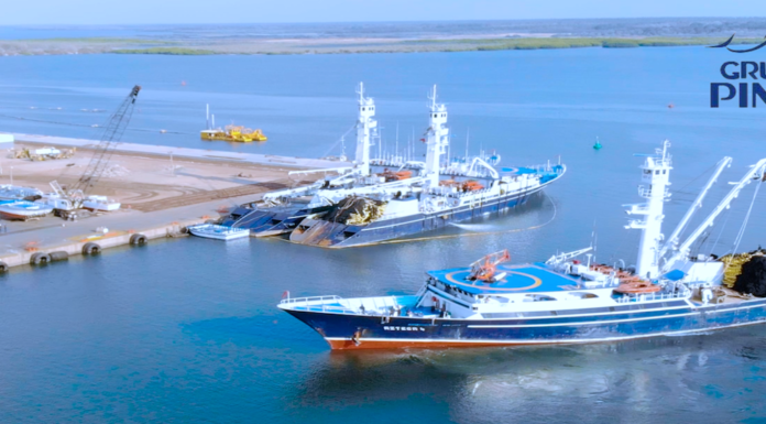 Grupo Pinsa, logró abastecer el 60% del mercado nacional con sus productos marinos