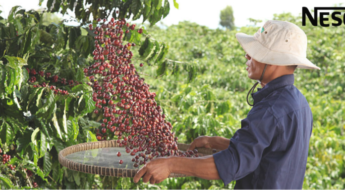 75 AÑOS DE NESCAFÉ, AMOR POR MÉXICO