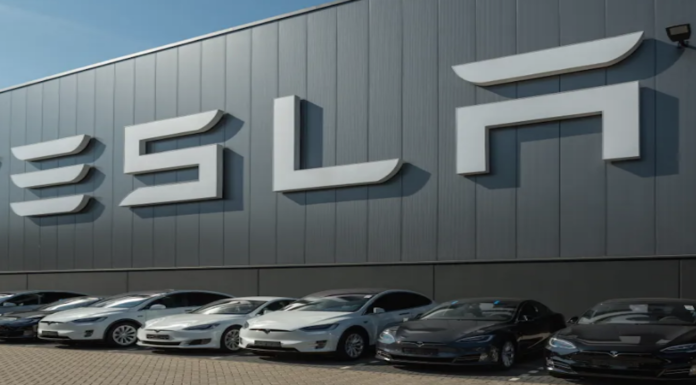 Llegada de Tesla a México traerá miles de empleos