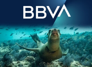 BBVA México y Ectagono trabajan de la mano por la conservación de ecosistemas