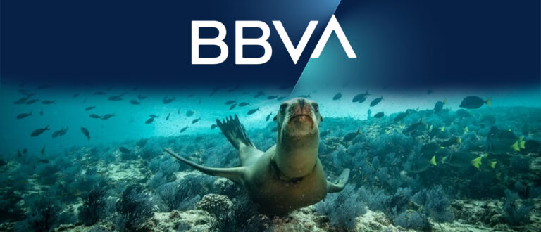 BBVA México y Ectagono trabajan de la mano por la conservación de ecosistemas