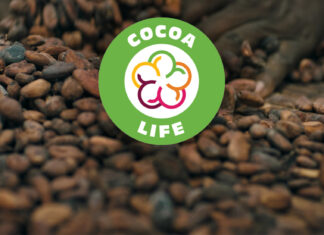 Cocoa Life de Mondelēz continúa produciendo cacao sostenible