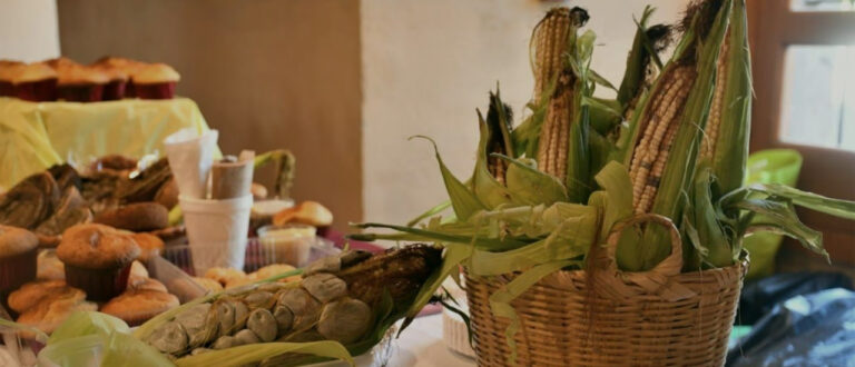 Tláhuac presenció la edición número 30 de la Feria del Elote y la Tortilla 