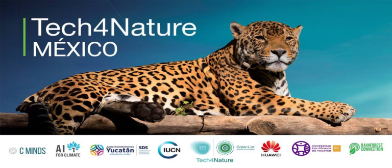 Tecnología Huawei Protege a los Jaguares de la Extinción en México