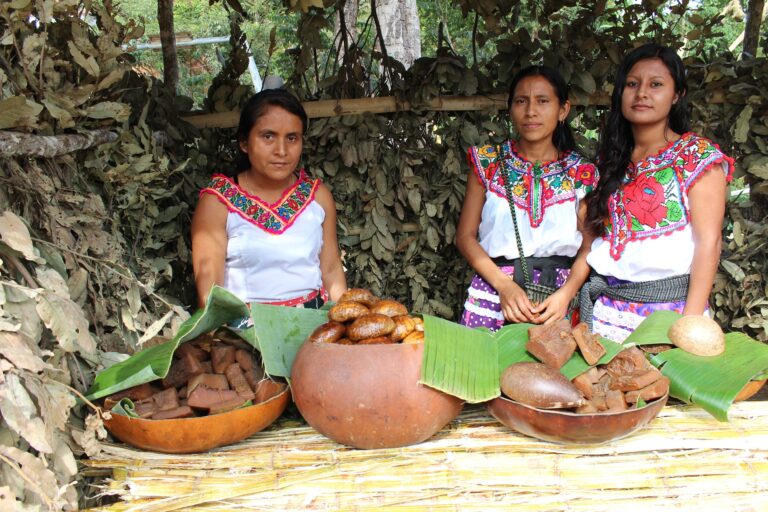 Rutopía conecta a viajeros con experiencias culturales y naturales únicas en México, impulsando el desarrollo local, preservando ecosistemas y revitalizando la economía en áreas marginadas.