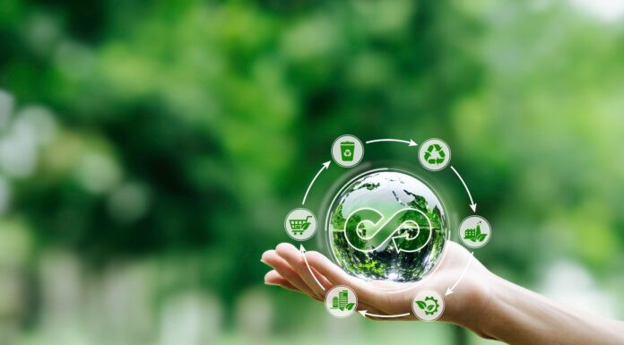 Liverpool: Acciones y compromisos para un futuro sostenible en México