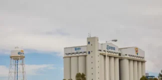 Grupo Modelo invierte 30 millones de dólares en su estrategia de sostenibilidad