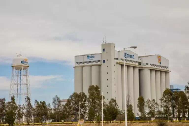 Grupo Modelo invierte 30 millones de dólares en su estrategia de sostenibilidad