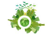 Empresas en México integran la sostenibilidad ambiental en sus estrategias de negocio